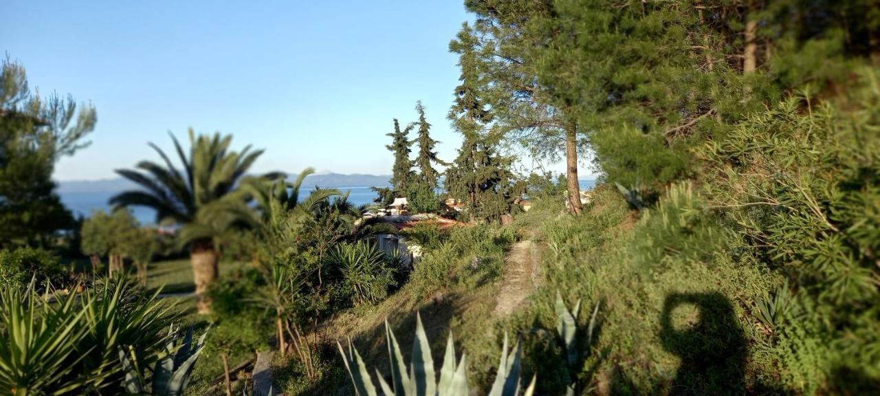 Seaside View Villa Ханиоти Экстерьер фото